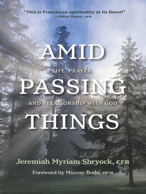 cover image of Amid Passing Things